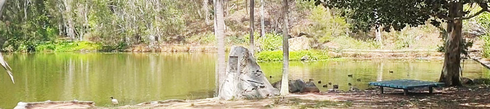 The parks around Gladstone