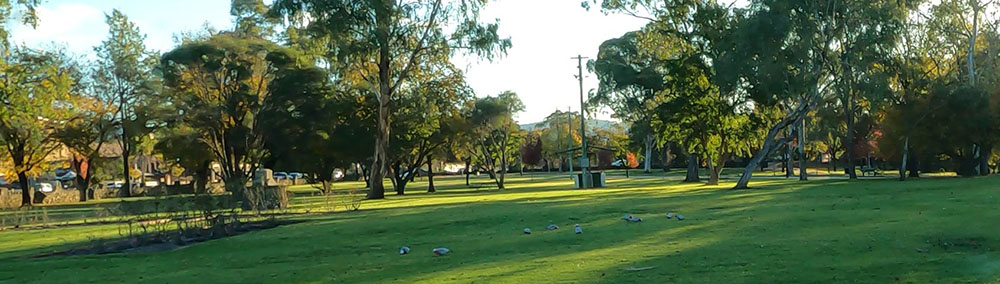 Gardens near Mudgee