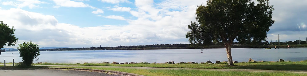 Landscapes of Swansea