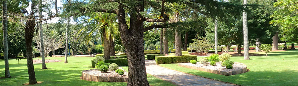 Green gardens around Toowoomba