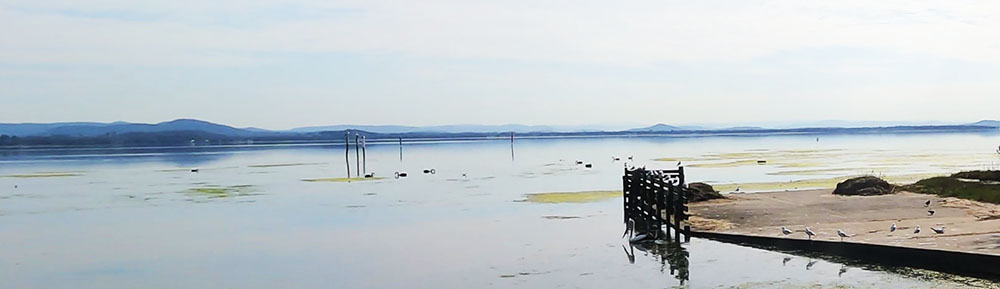 Tuggerah Lake