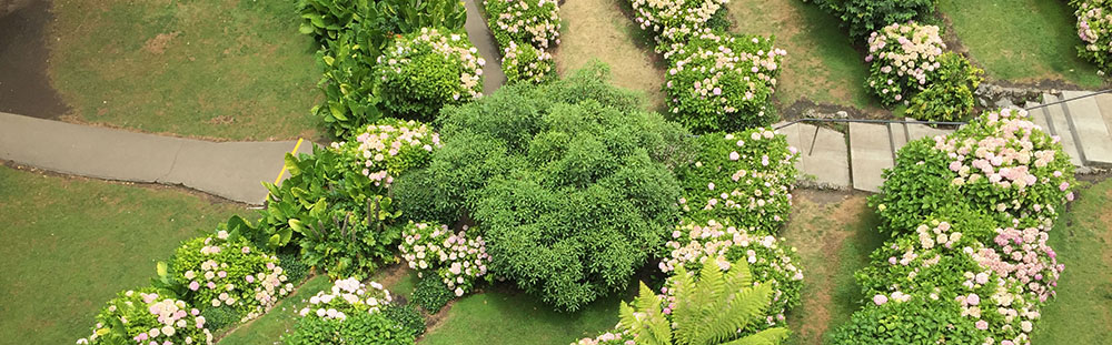 Gardens near Warrnambool