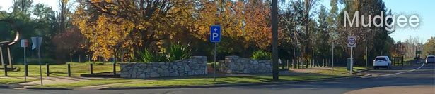 The Town of Mudgee